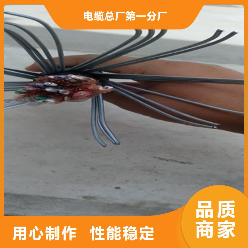 定做阻燃计算机电缆ZR-DJYJP2V的经销商