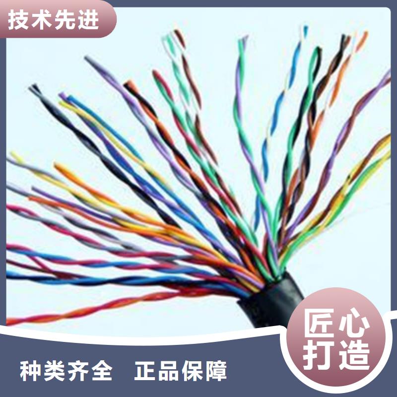 计算机屏蔽电缆DJVP3VP3R8X2X1.5