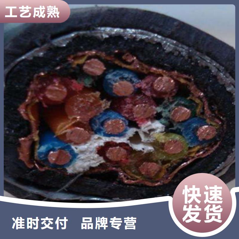 DJYJP3VP3R铠装计算机电缆-厂家直供