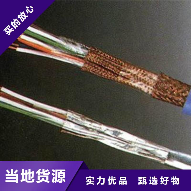 DJYJVP2计算机屏蔽电缆3X2X1.0