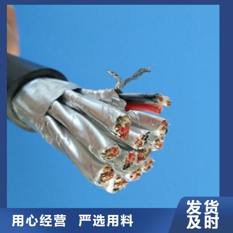 计算机电缆 【本安防爆电缆】定制速度快工期短