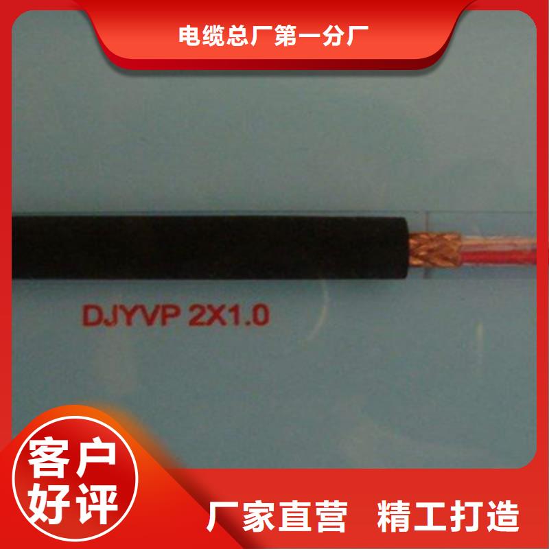 DJYJPVR计算机屏蔽电缆30X2X0.75