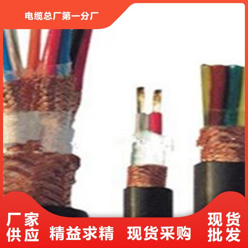 【计算机电缆本安防爆电缆源厂定制】