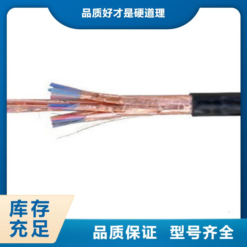 DJYJVP2计算机屏蔽电缆3X2X1.0
