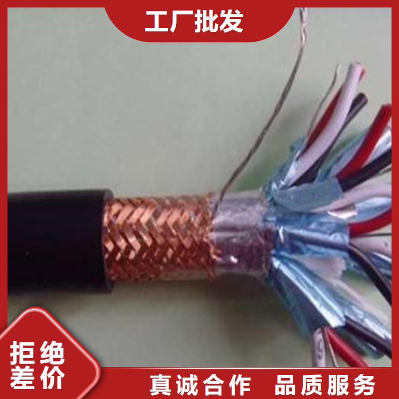【计算机电缆屏蔽电缆规格齐全实力厂家】