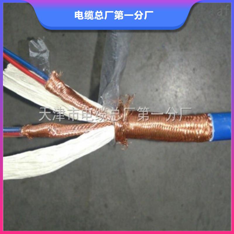 定做阻燃计算机电缆ZR-DJYJP2V的经销商