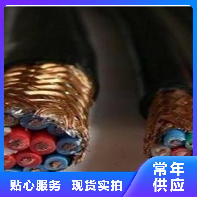 ZR-CHYVRP82钢丝编织电缆12X2X0.75