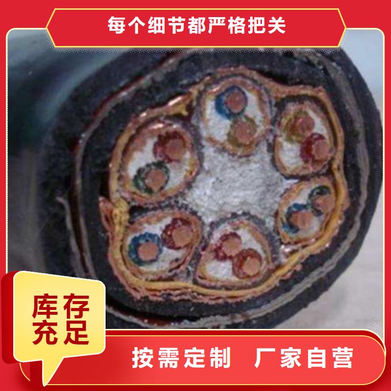 计算机电缆,控制电缆厂家直销省心省钱