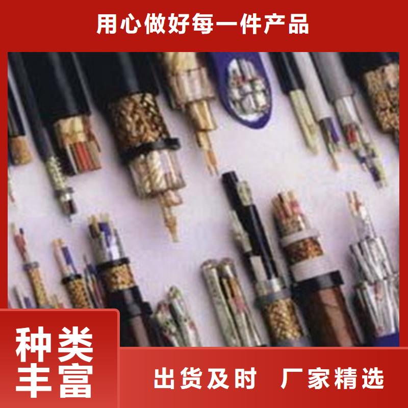 DJVVP22铠装计算机电缆4X2X1.0