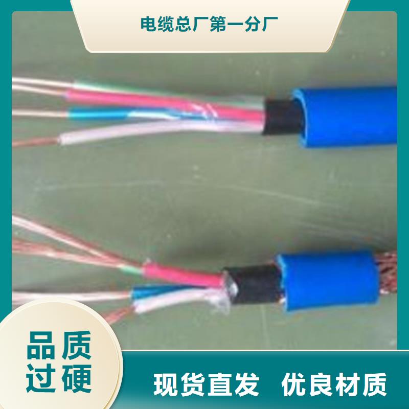 计算机电缆【信号电缆】诚信为本