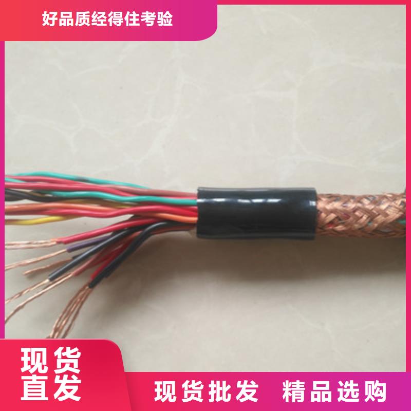 DJVVP22铠装计算机电缆4X2X1.0