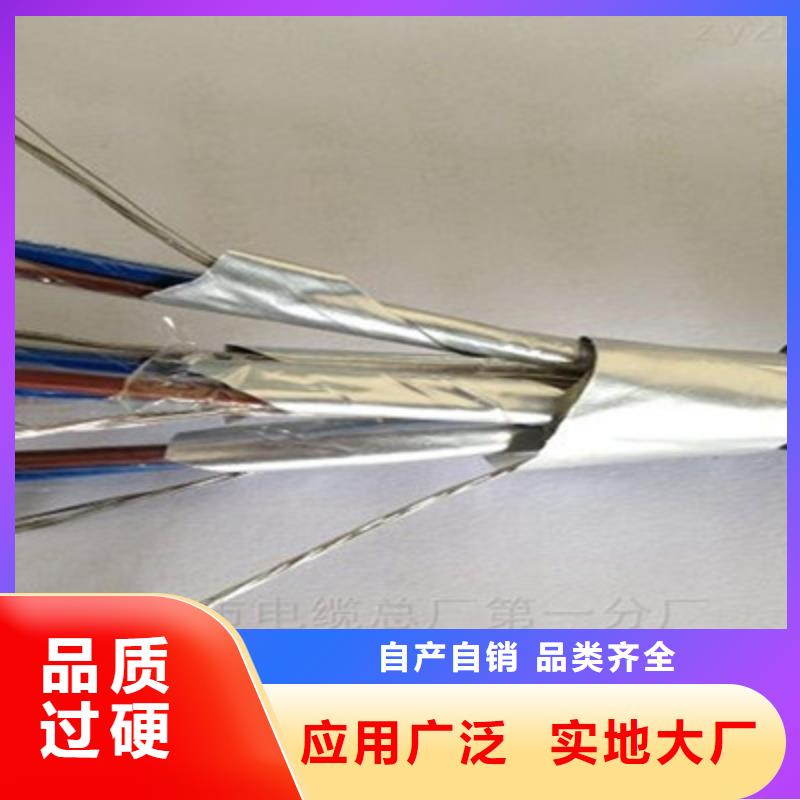 质量可靠的ZR-DJYVP3R阻燃计算机电缆生产厂家