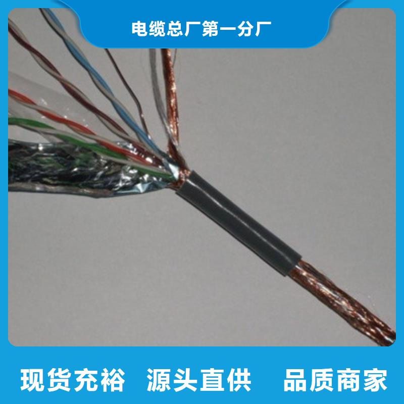 定制计算机屏蔽电缆DJVP2VP2-22的基地