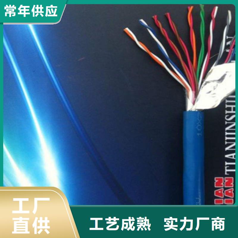 会宁|景泰|张掖|嘉峪关|兰州|武威|天水|陇南矿用通信电缆【阻燃电缆厂家】用心做品质免费安装