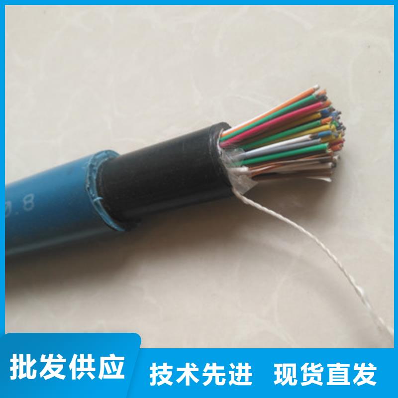 【 矿用通信电缆煤矿用阻燃控制电缆质量检测】_电缆总厂分厂(陇南市分公司)