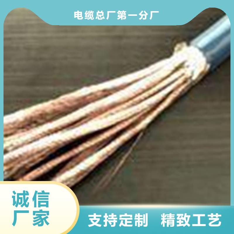 耐高温电缆本安防爆电缆当地厂家值得信赖