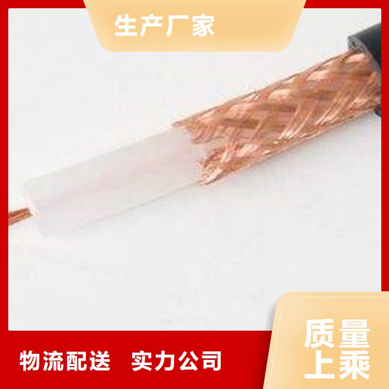 视频电缆SYV、视频电缆SYV厂家-诚信经营