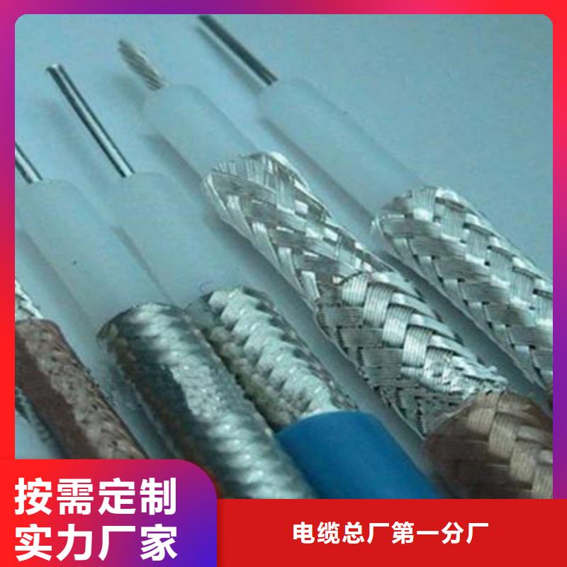 SYP视频监控电缆生产商_天津市电缆总厂分厂