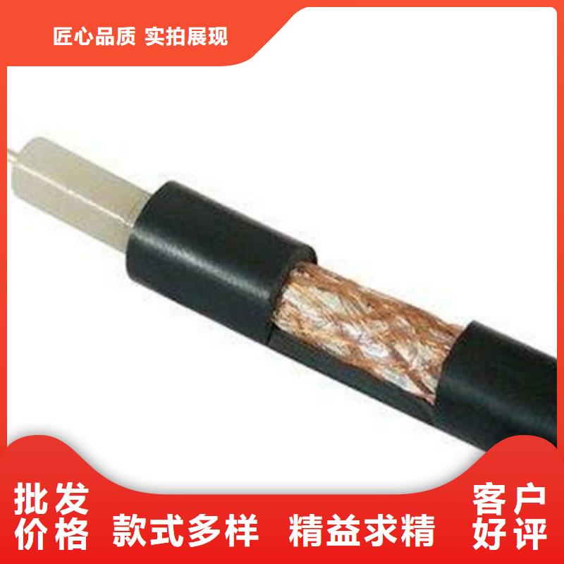 专业销售SYV工程装修讯号传输电缆-大型厂家