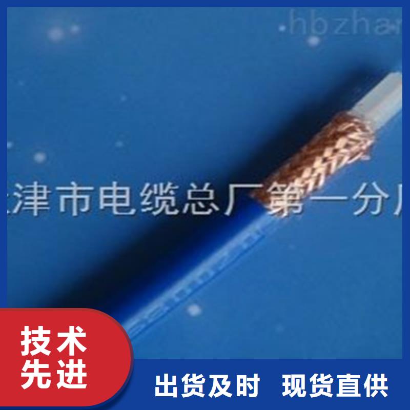 视频电缆SYV、视频电缆SYV厂家-诚信经营