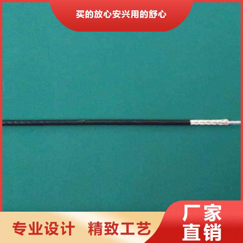 SYP视频监控电缆生产商_天津市电缆总厂分厂