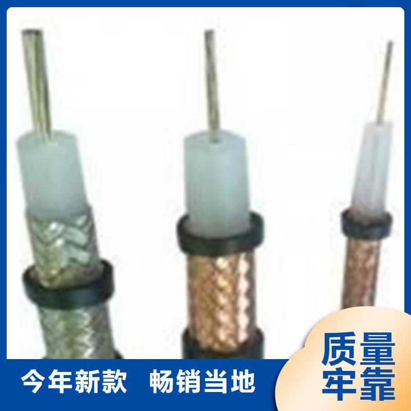 SYP视频监控电缆生产商_天津市电缆总厂分厂