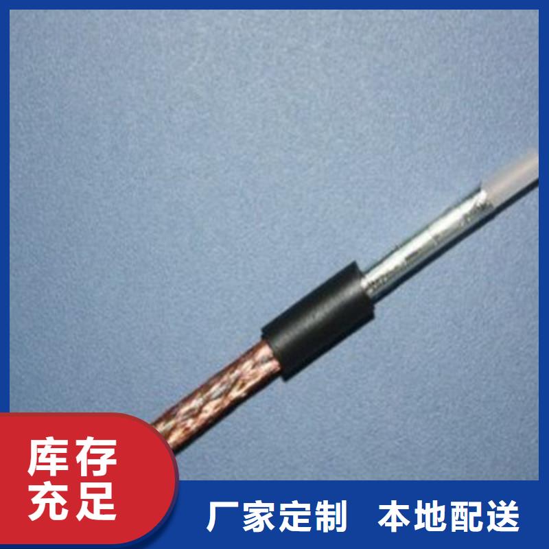 经验丰富的监控线SYV公司