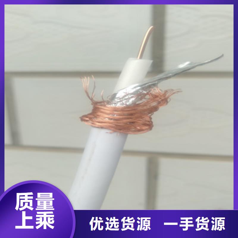 视频电缆SYV、视频电缆SYV厂家-诚信经营