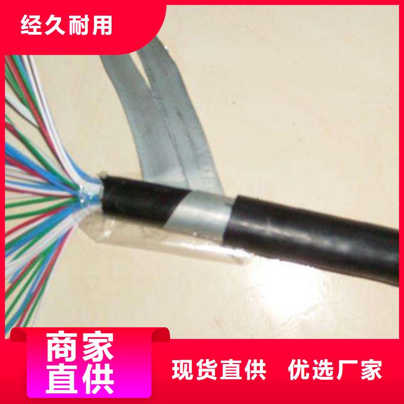 铁路信号电缆,信号电缆支持大小批量采购