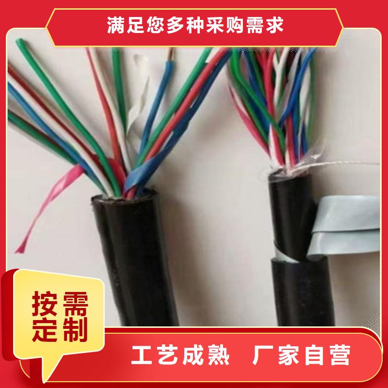 【 铁路信号电缆 矿用电缆服务始终如一】-电缆总厂分厂(银川分公司)