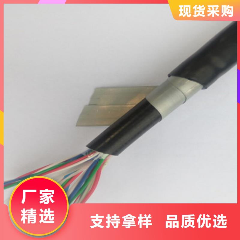 铁路信号电缆信号电缆厂家自营
