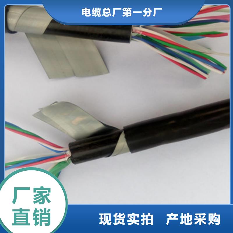 铁路信号电缆屏蔽电缆工厂直营