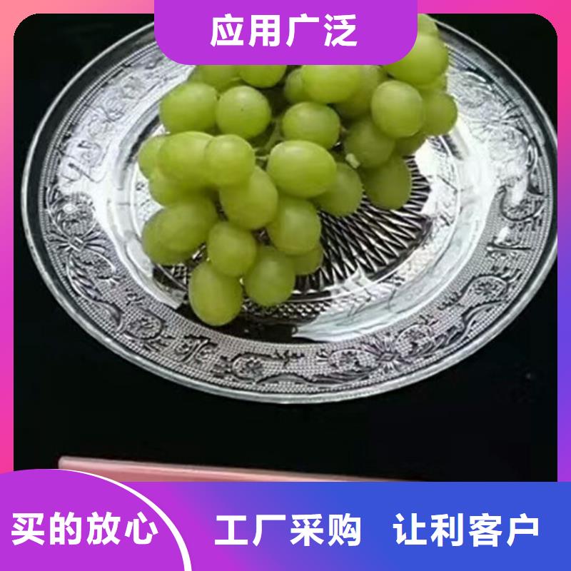 晚熟葡萄树苗价格
