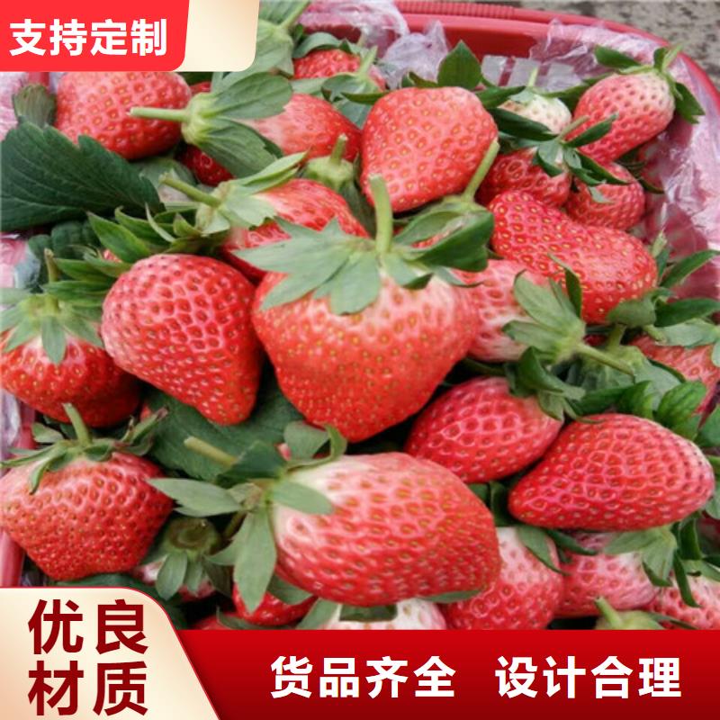 草莓苗桃树苗拒绝中间商