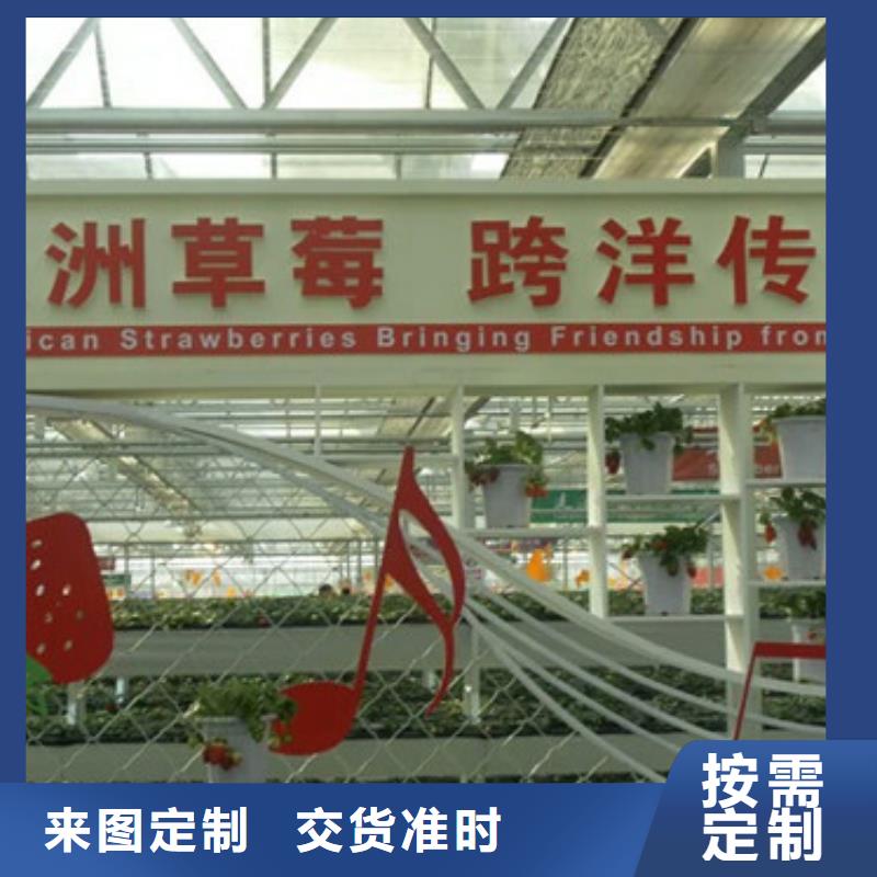 草莓苗红富士苹果树苗产地厂家直销