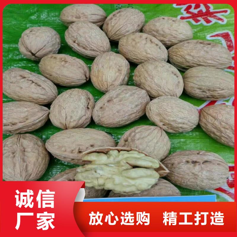 核桃苗红颜草莓现货销售