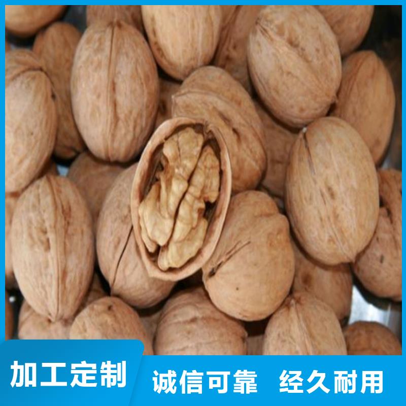 核桃苗珍珠枣油桃树苗材质实在