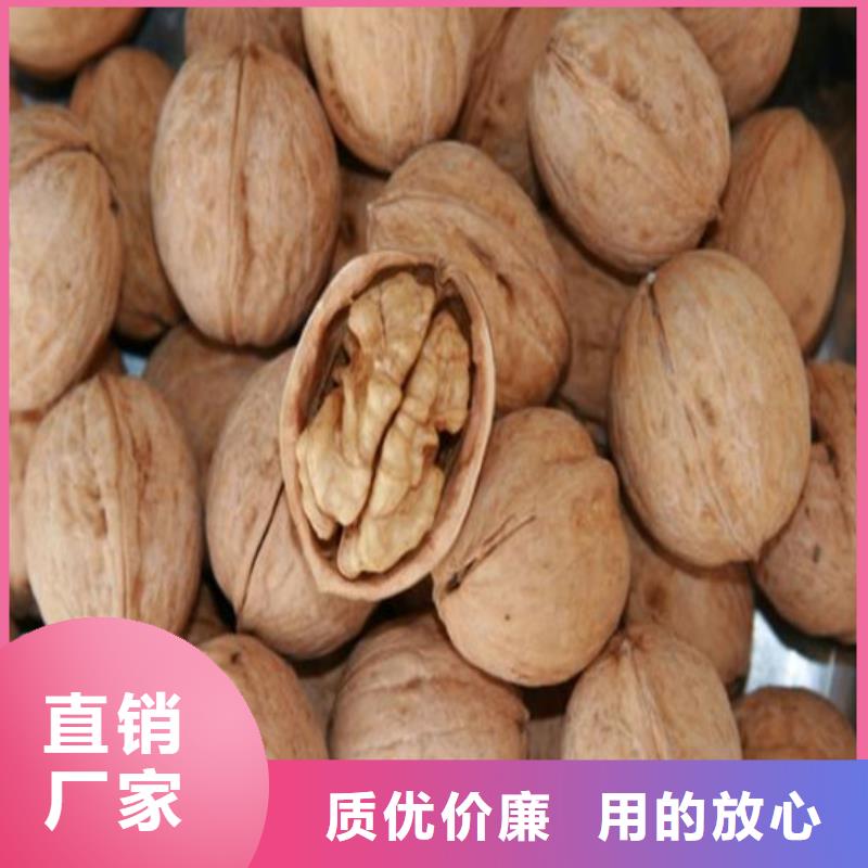 核桃苗阳光玫瑰葡萄树苗大量现货供应