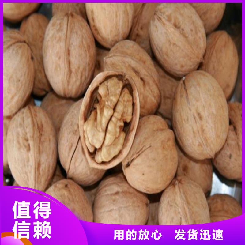 核桃苗桃树苗免费询价