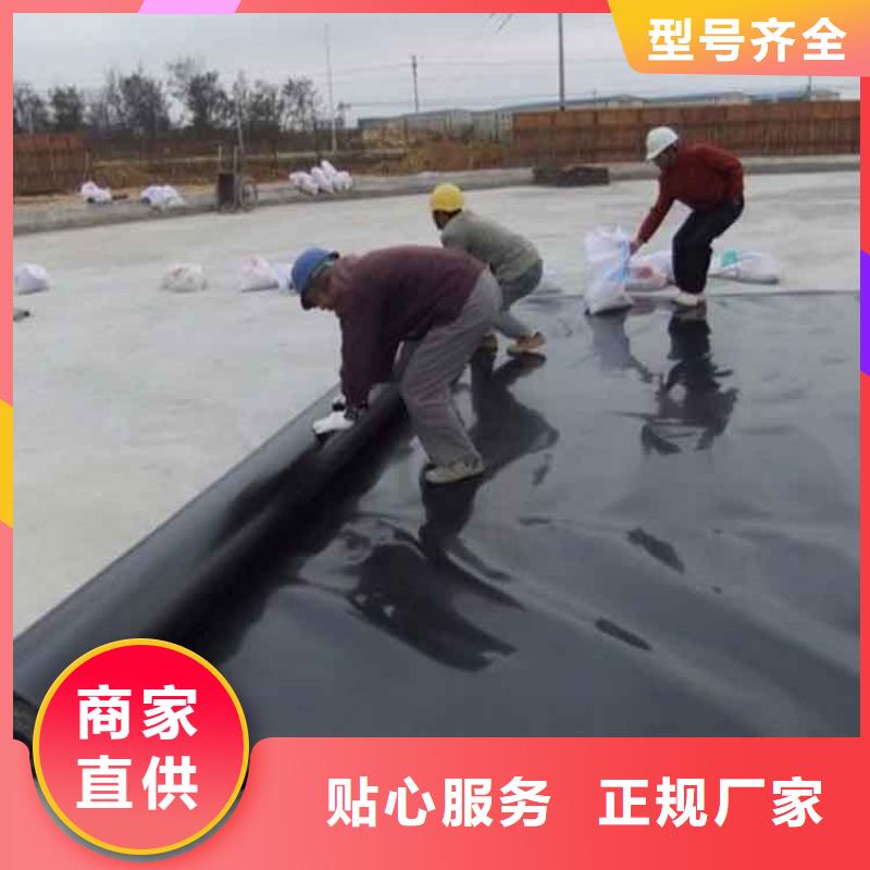 土工膜-土工席服务始终如一