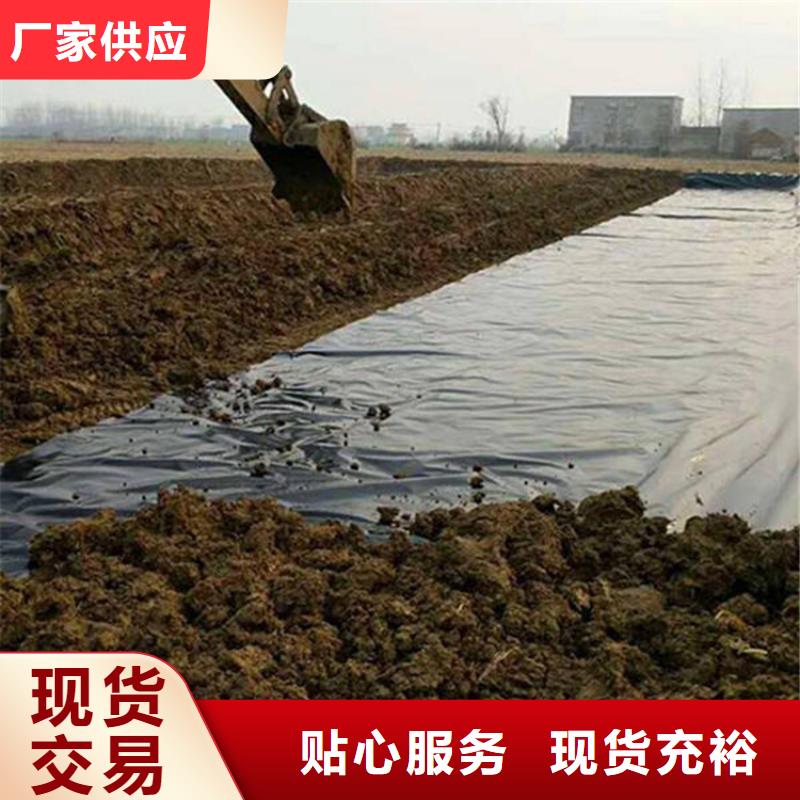 【土工膜_软式透水管品质可靠】