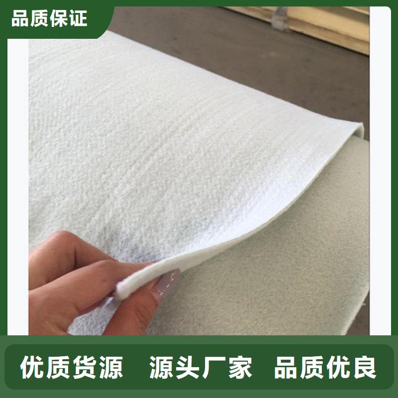 鼎诺防水板【 土工布自产自销】39065.com