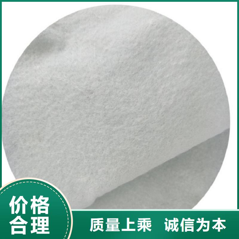 【土工布】土工格栅主推产品