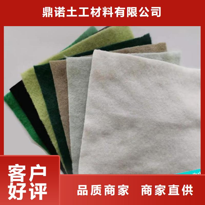 鼎诺防水板【 土工布,HDPE土工膜服务至上】39065.com