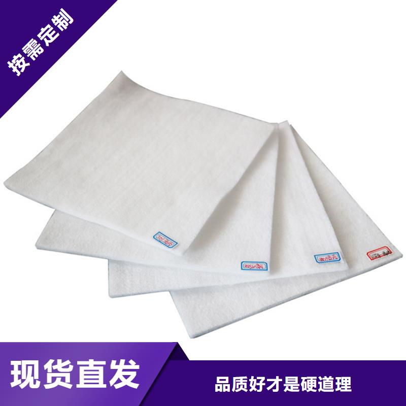 【土工布】土工格栅主推产品