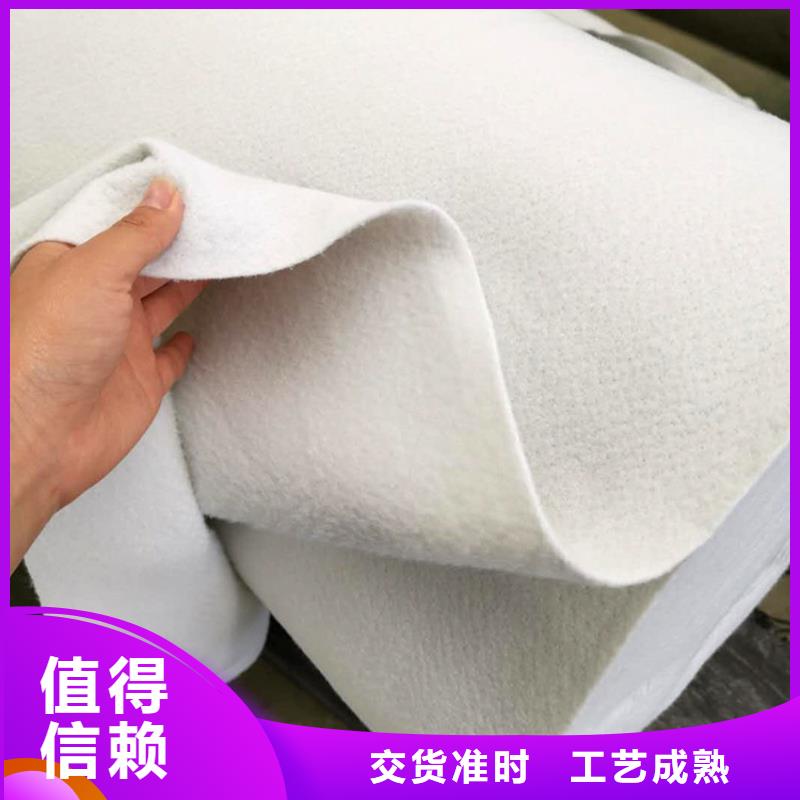 【土工布极速发货】