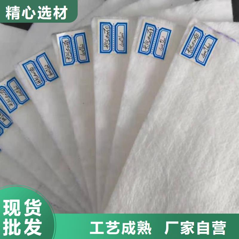 【土工布极速发货】