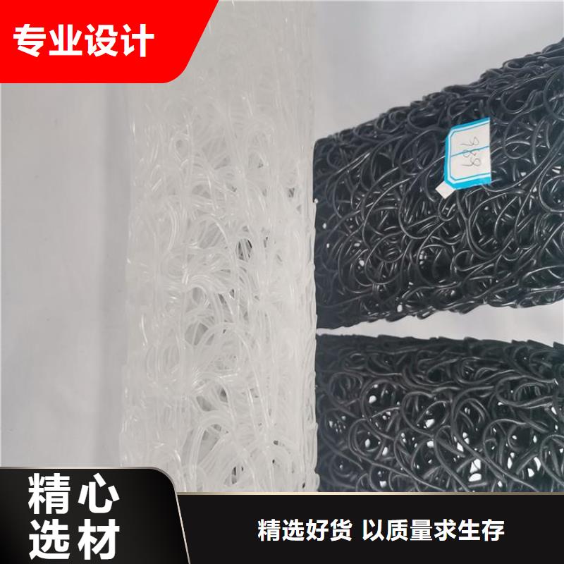 塑料盲沟,【HDPE土工膜】专业生产N年 鼎诺土工材料(平凉市分公司)