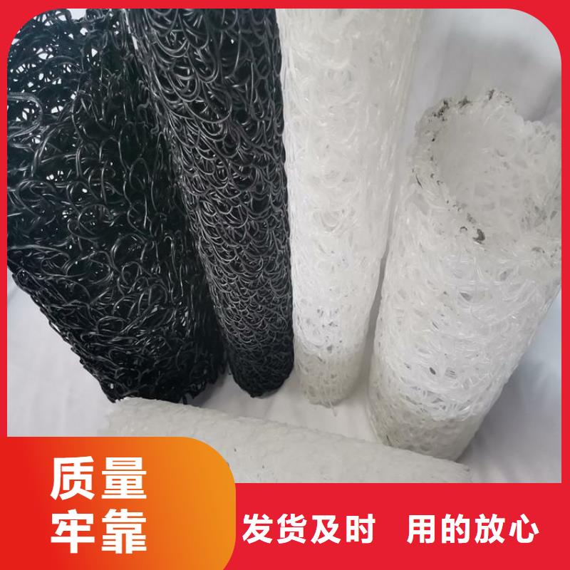 【塑料盲沟,防渗膜常年出售】