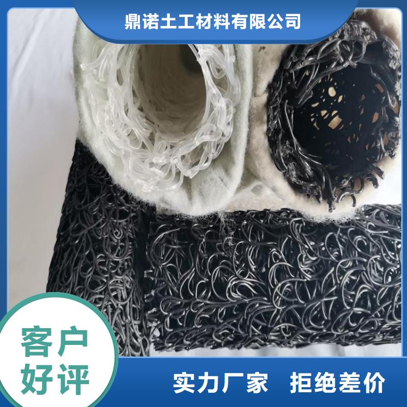 【塑料盲沟】 防水板产地工厂-鼎诺土工材料(榆林市分公司)